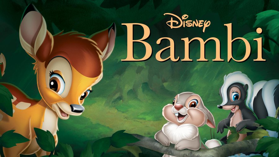 What To Watch On Disney+ | Disney Animal Adventures – What's On Disney Plus
