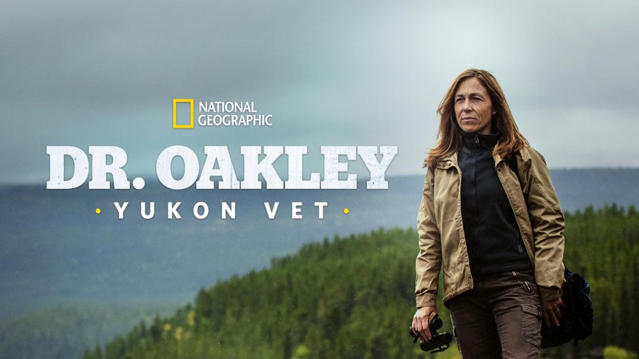 “Dr. Oakley, Yukon Vet” Returning For A New Season What's On Disney Plus