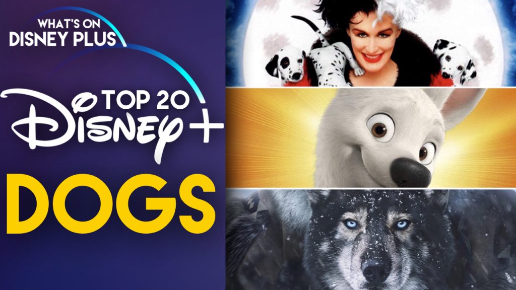 10 Best Animated Animal Movies For Everyone  Tail and Fur