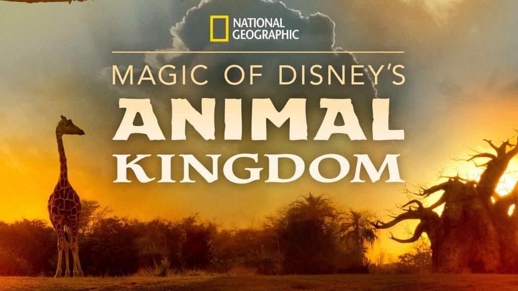 Magic Of Disney's Animal Kingdom Review – What's On Disney Plus