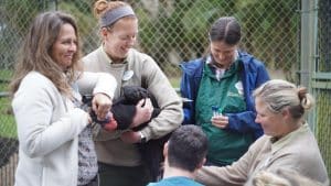 The Magic Of Disney’s Animal Kingdom – Episode 7 – Meet the Mandrills ...