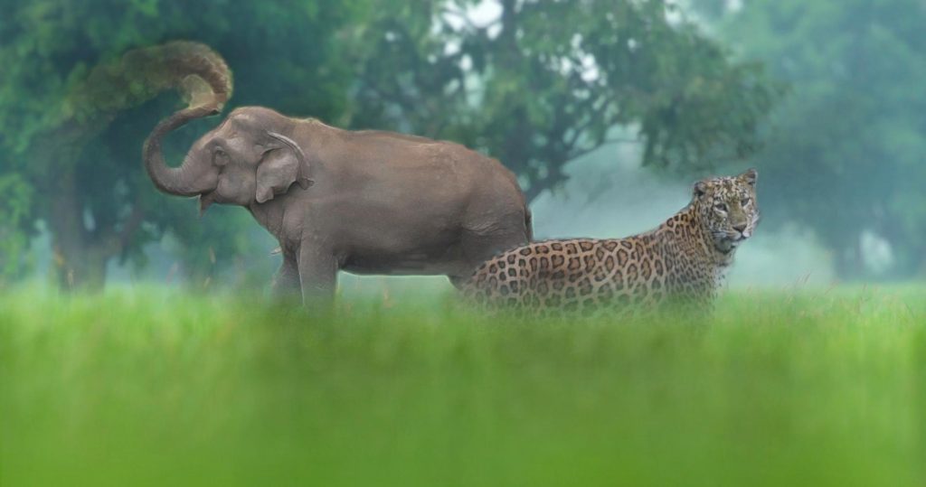 What’s Coming To Disney+ In December (Australia/New What’s Coming To Disney+ In December (Australia/New