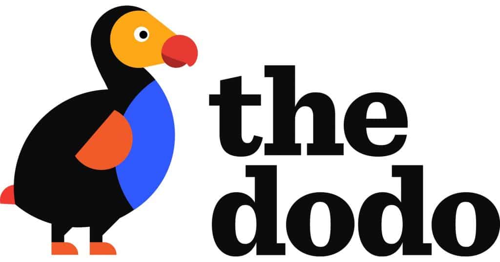 Dodo Partners With Hulu To Bring Beloved Animal Series To Streaming  Platform – What's On Disney Plus