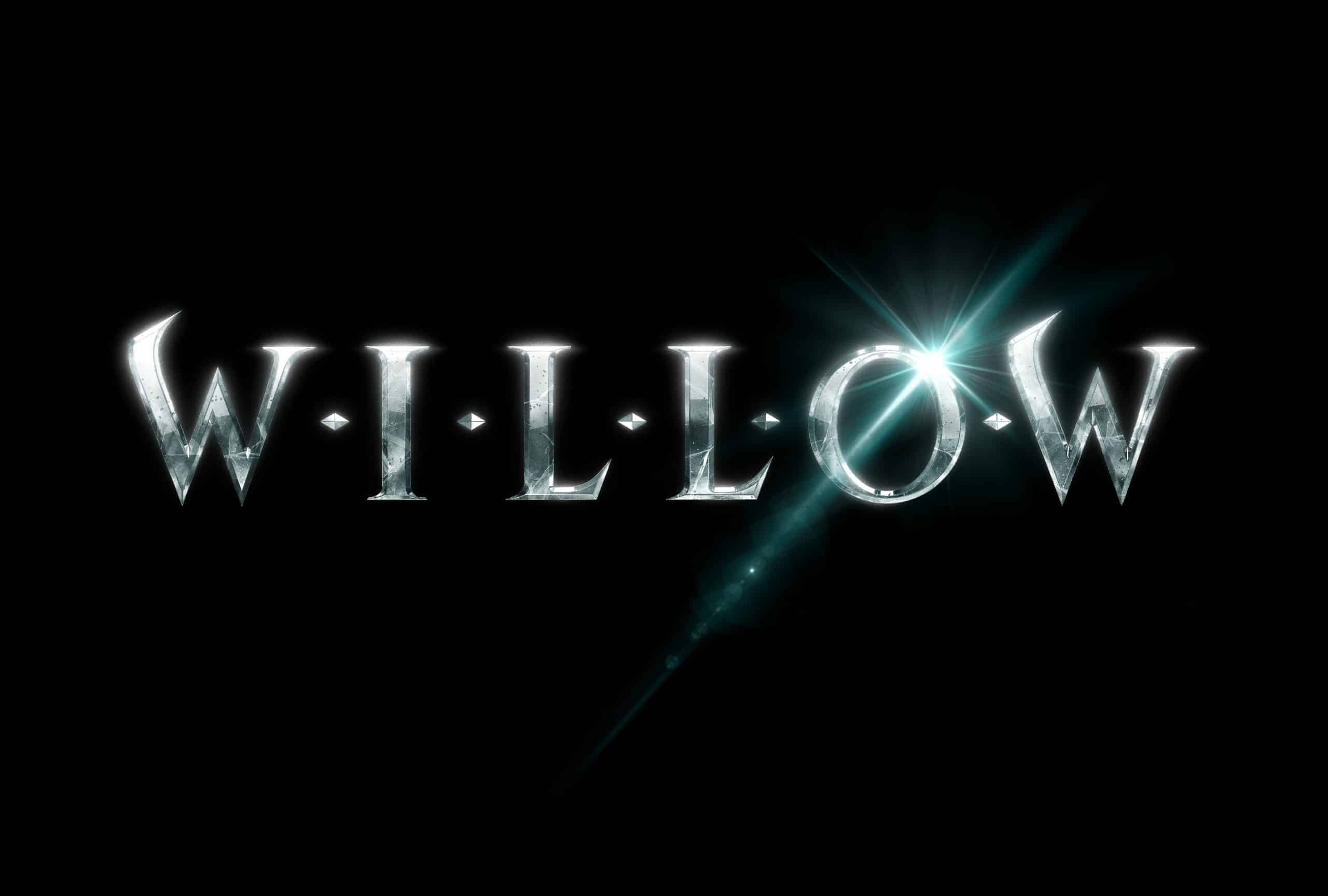 03a WILLOW LA scaled