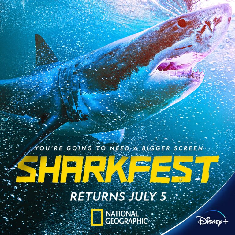 “SharkFest” Coming To Disney+ This Summer What's On Disney Plus