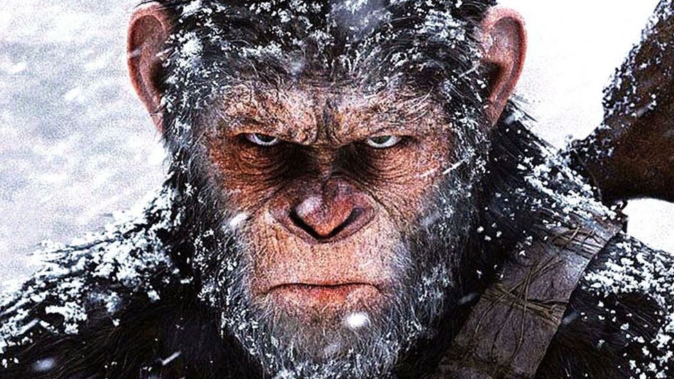 Owen Teague To Star In New Of The Apes” Film What's On Disney
