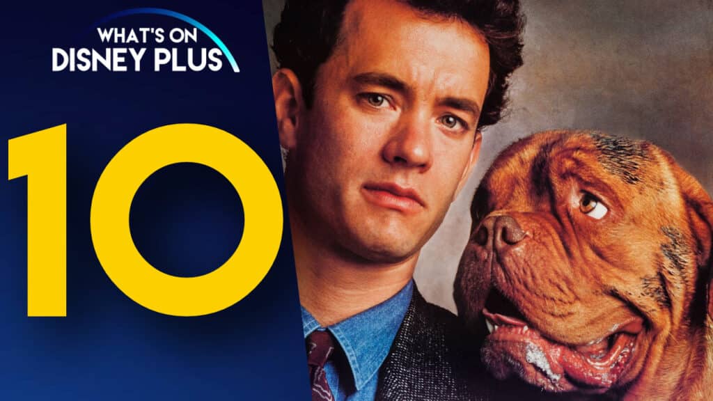 What's on Disney Plus, 10, Turner is a man, Hooch is a dog.