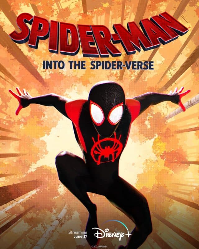 Sony SpiderMan Films Coming Soon To Disney+ (Australia/New Zealand(02)