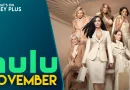 What’s Coming To Hulu & Hulu On Disney+ In November 2026